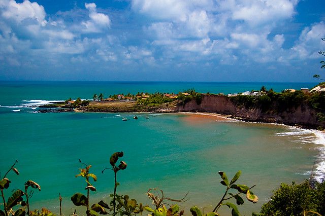 Baía dos Golfinhos